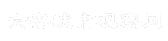 六安城市观察网